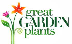 Great Garden Plants