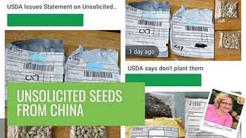 seeds from china video header