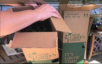 Unboxing New Plants From Proven Winners ColorChoice
