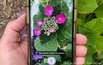 ID Plants FREE on Mobile