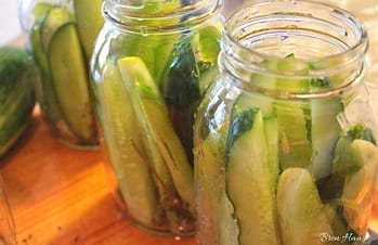 cucumbers freshly cut in jars