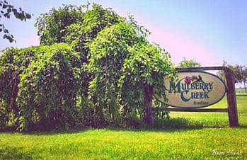 mulberry Creek Herb Farm