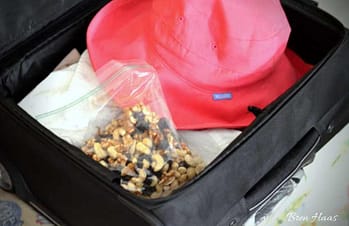 travel suitcase with treats and hat