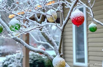 ornaments in the snow