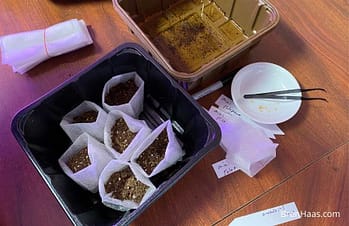 Seed Starter Supplies for 2022