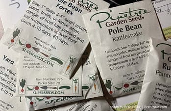 pinetree seed order review