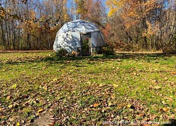 Geodesic Bio Dome Year 7