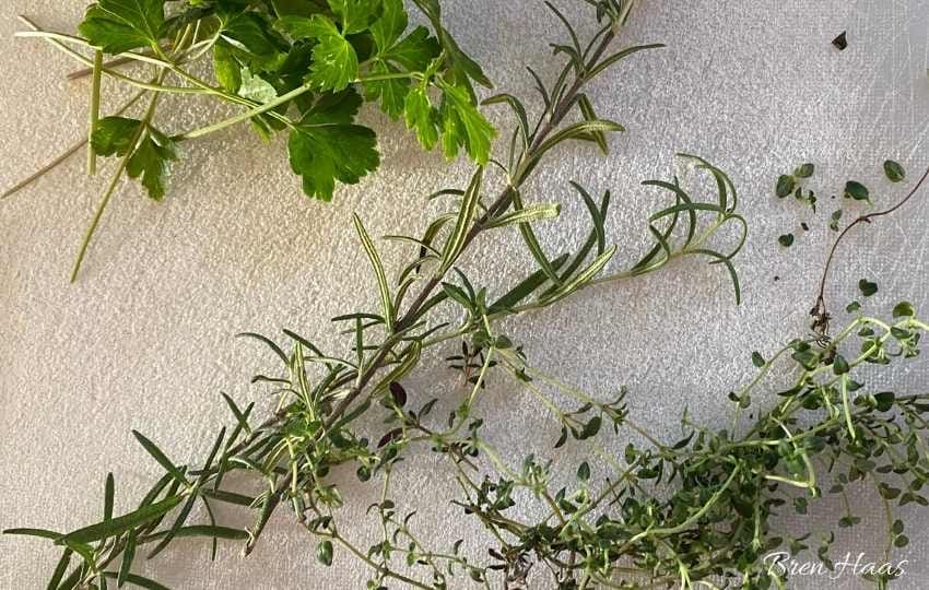 Herbs Grown Indoors