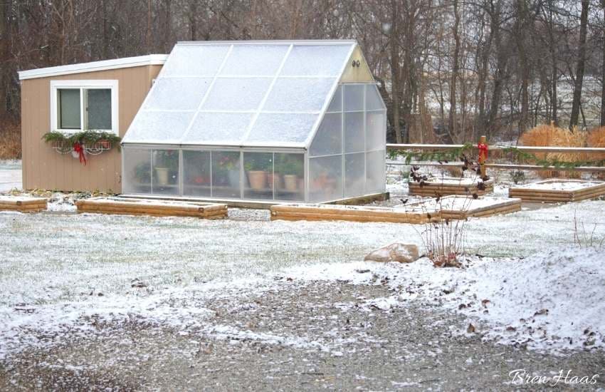 greenhouse in the landscape