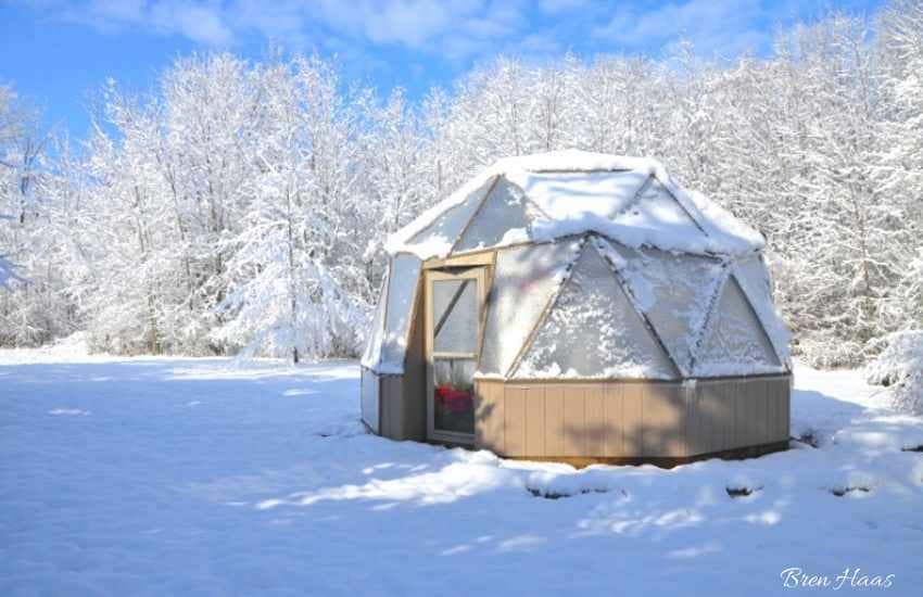 dome garden in winter woods