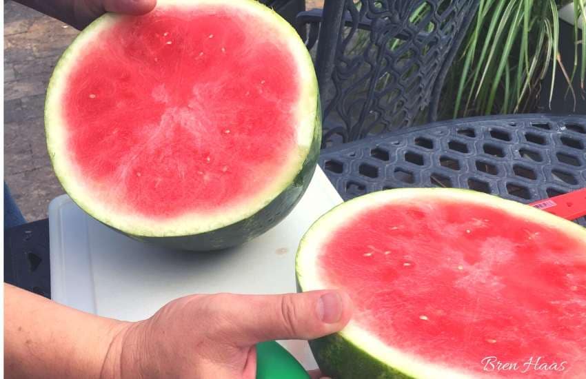 Watermelon on 4th of July