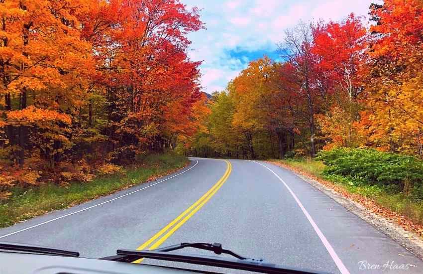 autumn color in the northeast
