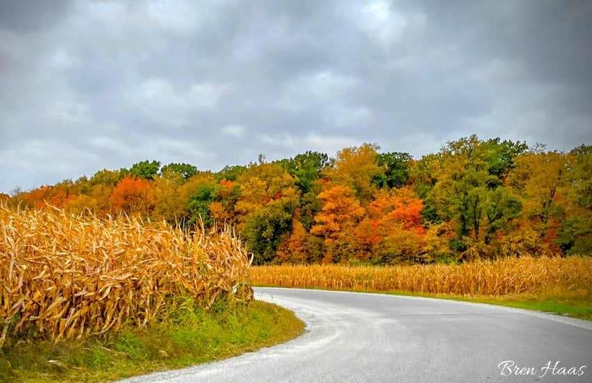 Autumn Drive in Ohio